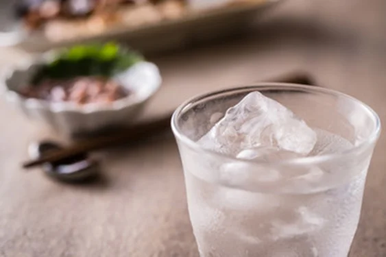 
Japanese High Quality No Preservatives Seasoning Fruit Juice 