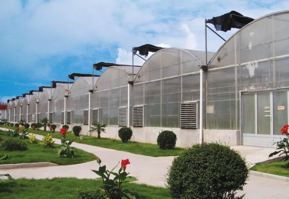 Cheap agriculture multispan greenhouse Venlo Glass Greenhouse