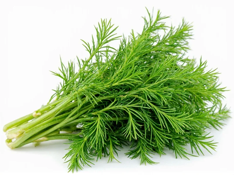 Dill Flavor: Characteristics, Pairings & Culinary Science