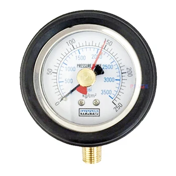 double needle pressure gauge