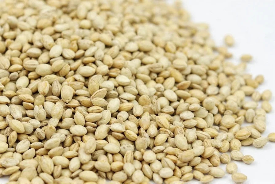 Coriander Seed Flavor