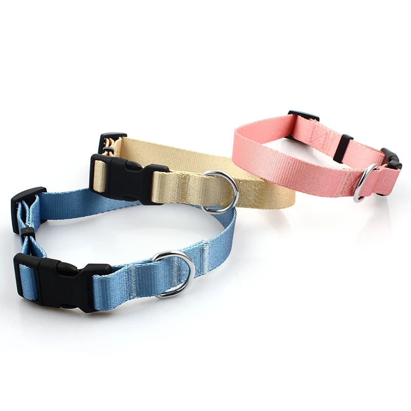 

China supplier durable fashion recycle PET material pet dog collar with custom logo