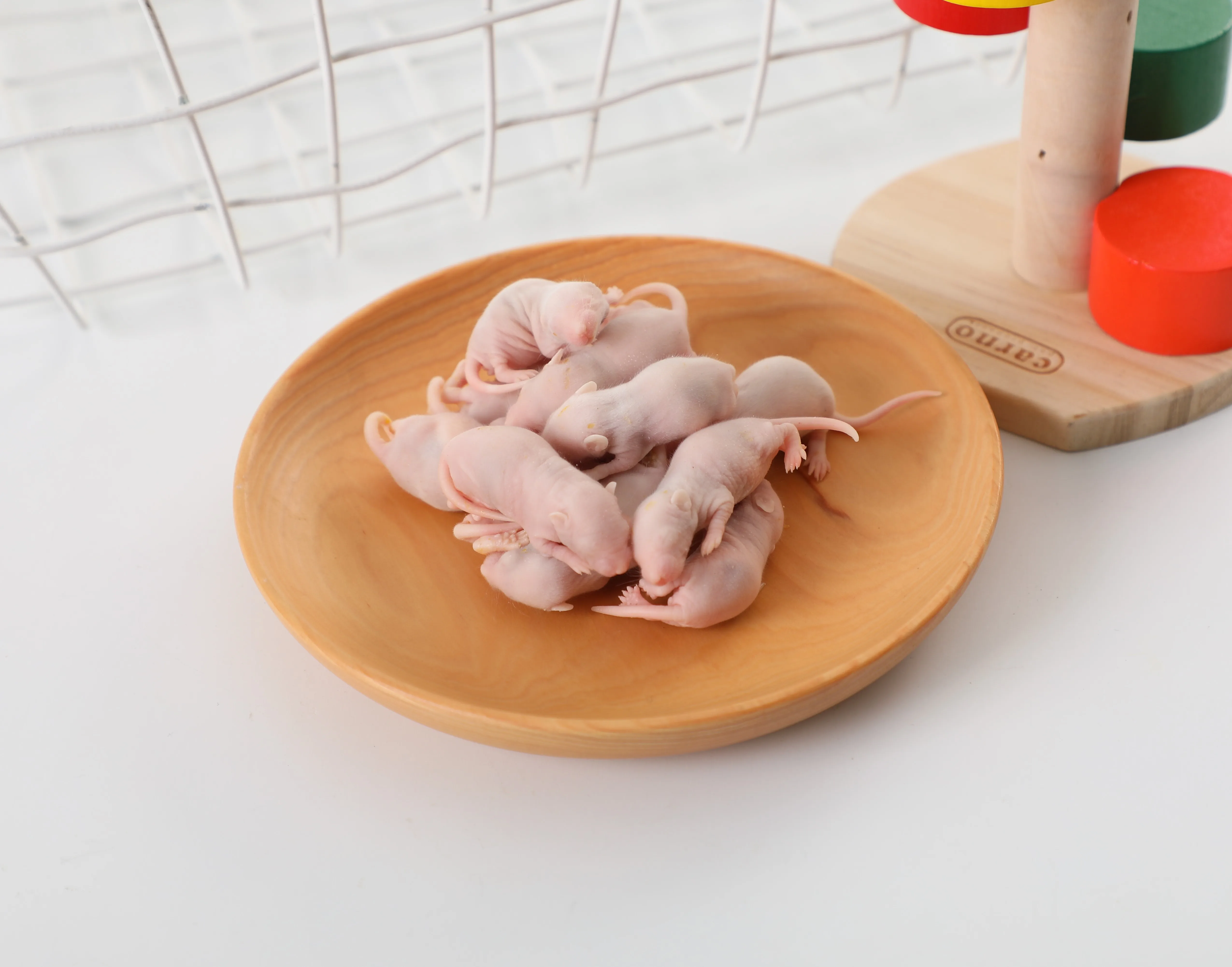Daren Fucheng Frozen Feeder Mice And Rats For Pet Reptiles