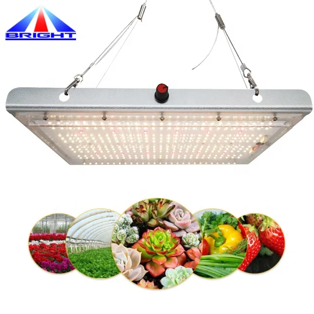 IP65 waterproof cob grow light greenhouse panel light 120w medical plants light