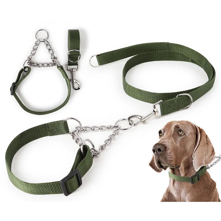 

Amazon Best Seller Pet Dog Leash Collar for Medium Large Dog, Green