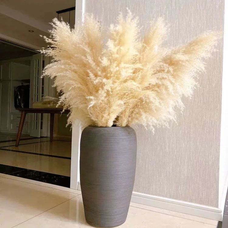 

M020 Wholesale Dried Flowers Arrangement Wedding Natural Real Big Tall 6ft Beige Cream Full Fluffy Preserved Dried Pampas Grass