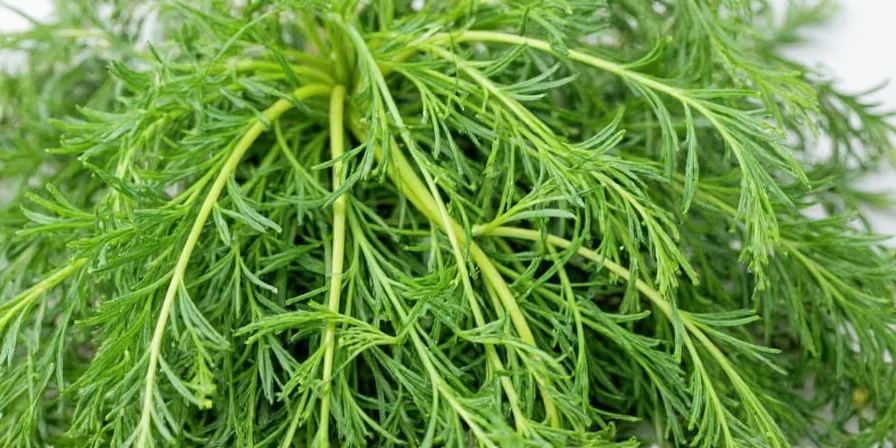 Creative culinary uses for fresh dill