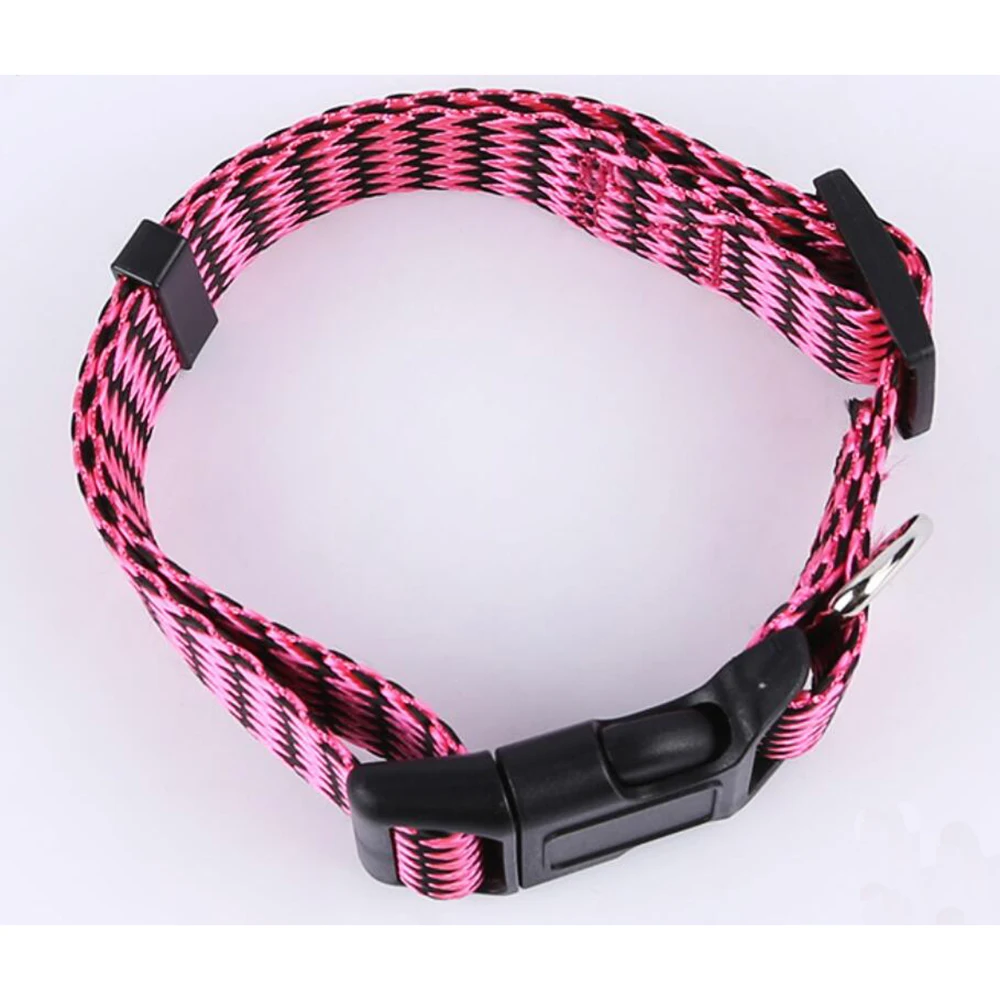 定制图案狗配件打印尼龙宠物项圈
