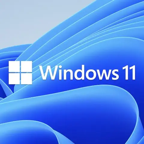 Win 11 Pro Key Sticker digital