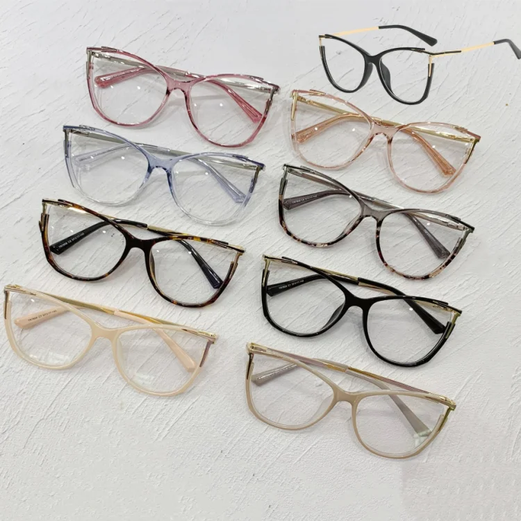 

Fashionable Wholesale Transparent Beautiful Eye Glass Frames Anti Blue Light Blocking TR Metal pin Computer Optical Eyewear