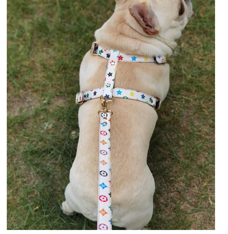 

Safety personalized printed designers dog harness luxury dog harness leather