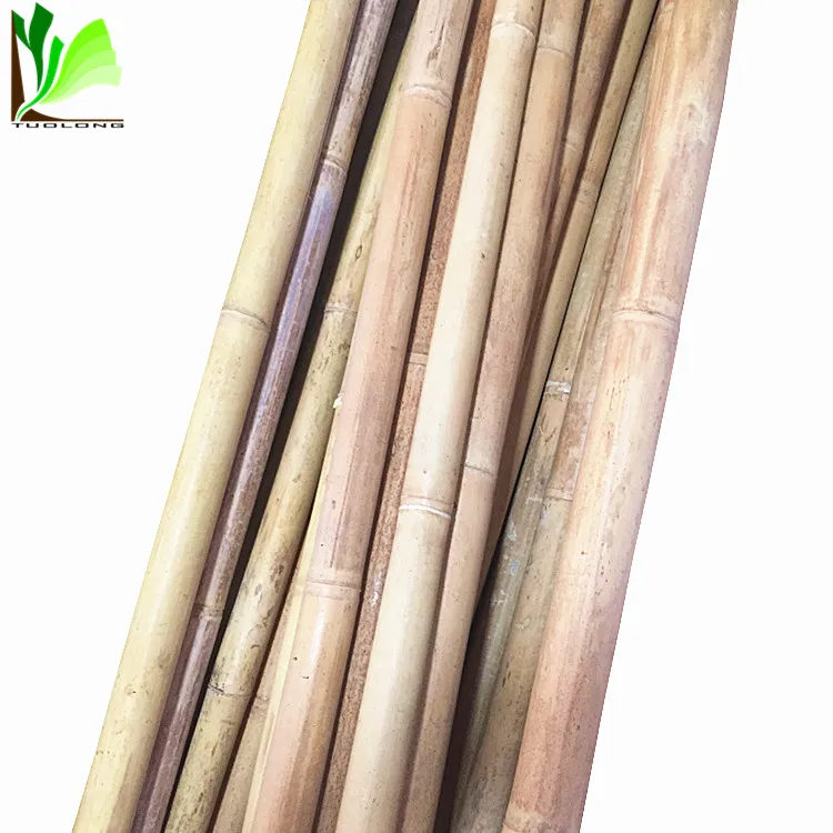 
Good Agricultural Products Price Treated Bamboo Poles 