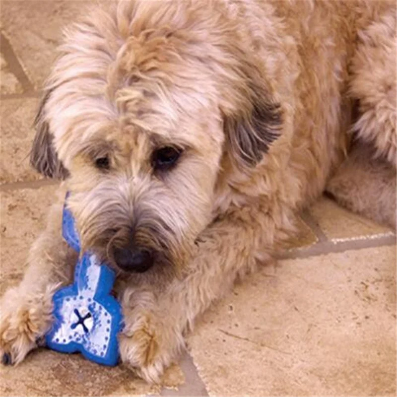 

Intellectual Bone Shaped Pet Chew Toys, Blue