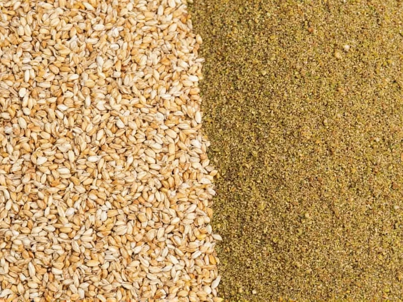 Coriander Seeds vs Ground: Key Differences Explained