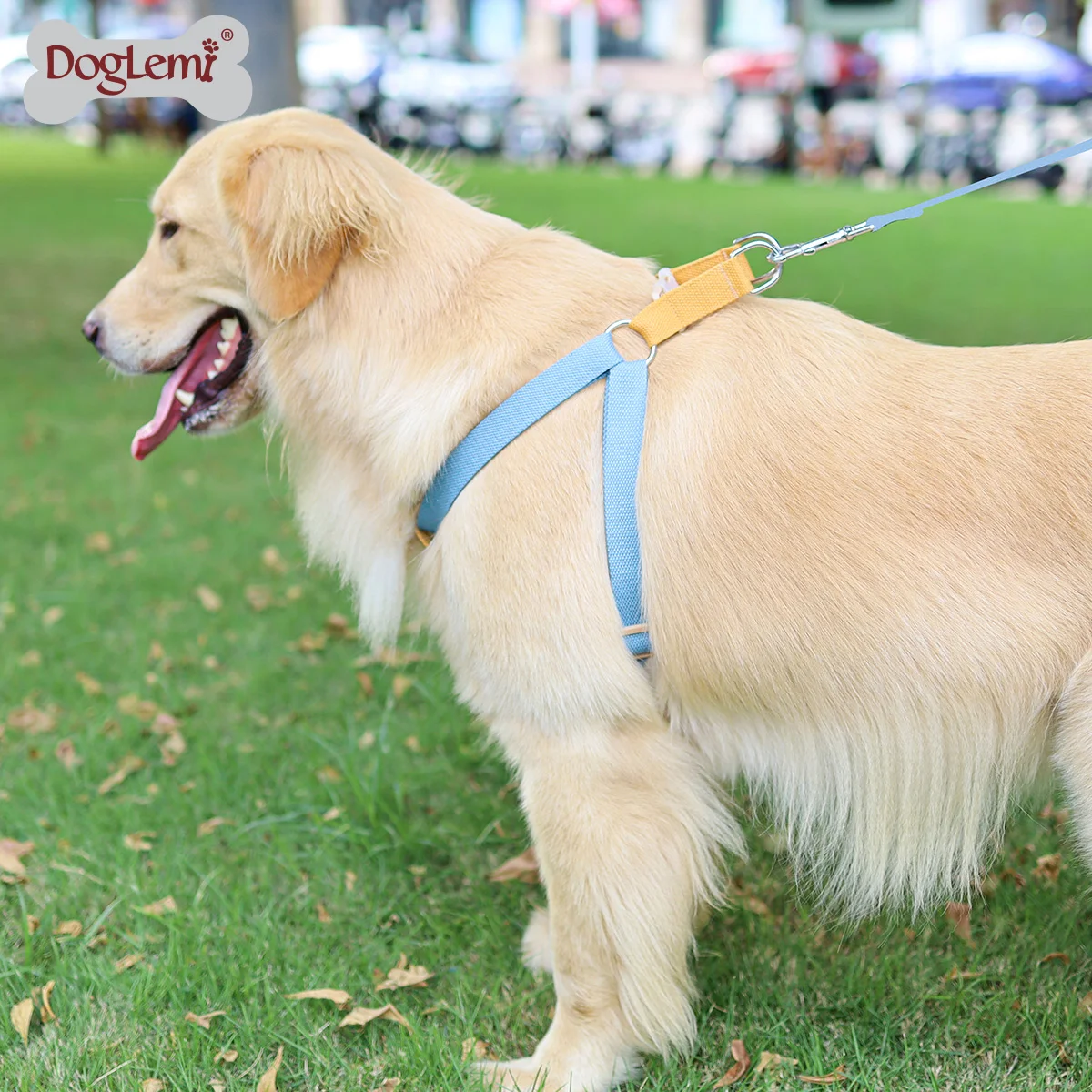 

Manufacture Supply Walking Dog Harness Fashion Ombre Colors Step in Vest ,Pet Harness Leash No Pull