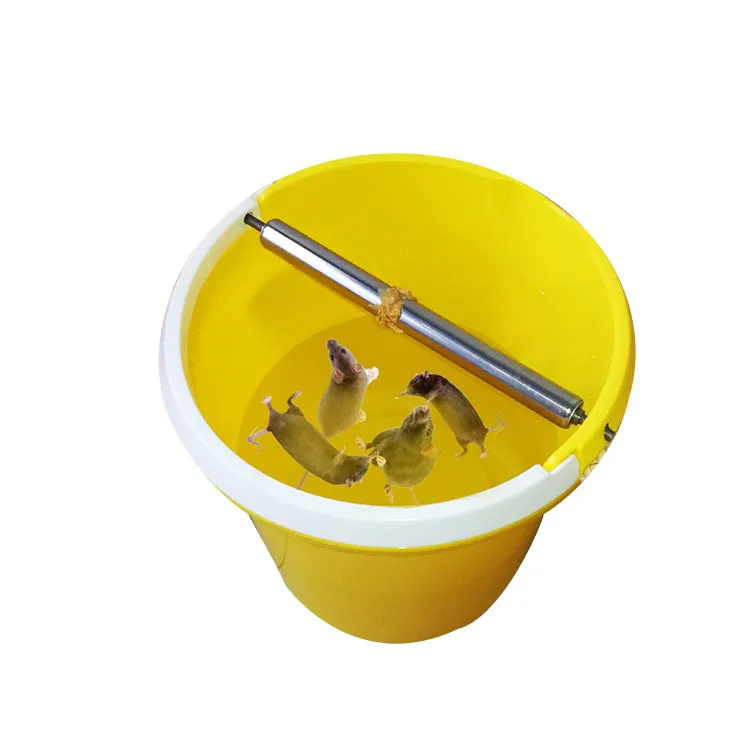 

Wholesale China Cheap Price Multifunction Booby Traps Mouse Bucket