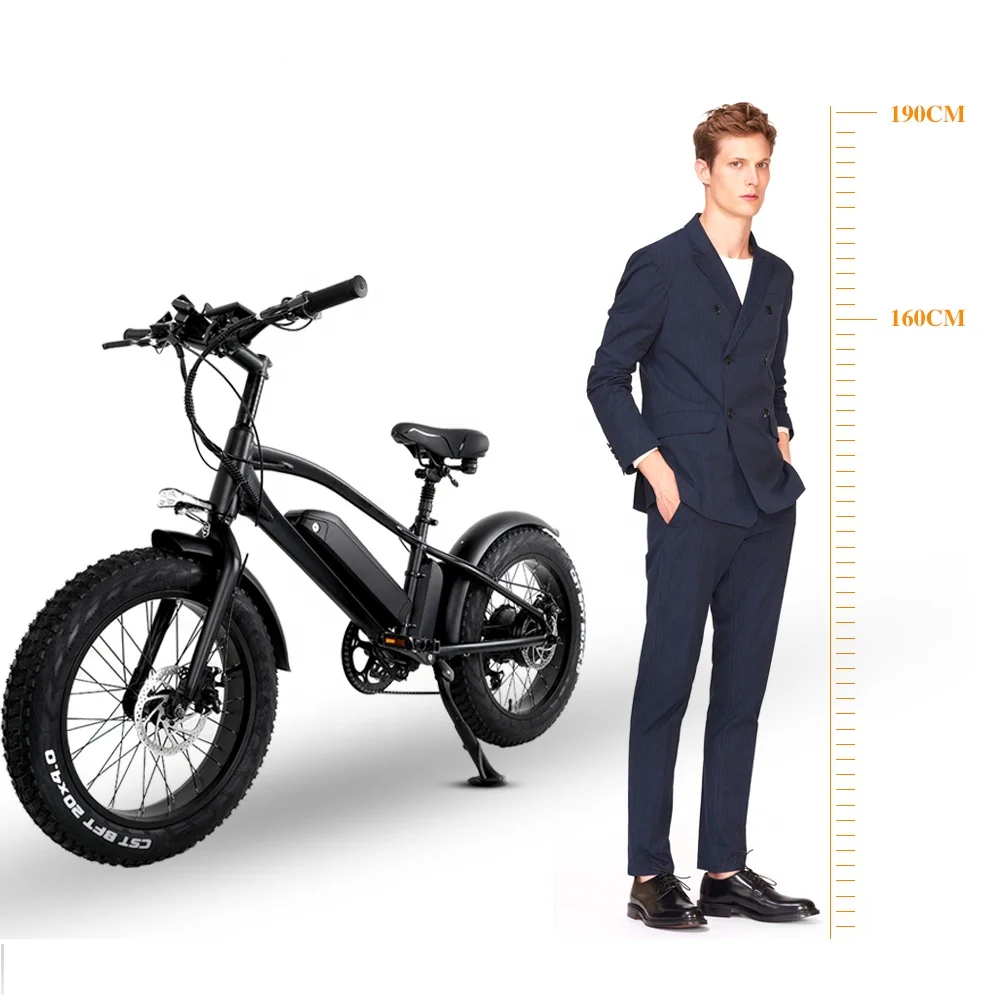 

Canada hot sale electric bike fat ebike for Adult Europe popular electric bicycle