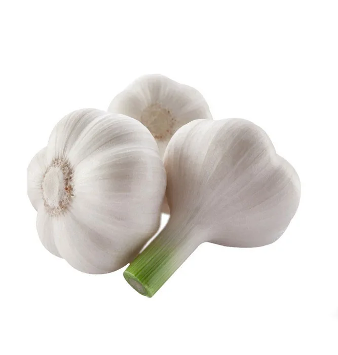 
2020 china chinese wholesale healthy hot sell low price best quality pure natural fresh white red garlic 