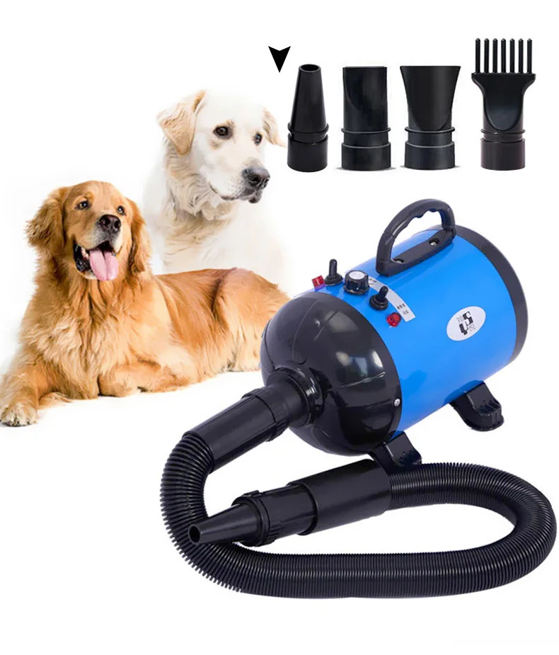 

Pet High wind anion mute hair dryer Professional Safety Electric Hair Dryer negative ion hair dryer