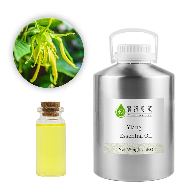 

Most Potent Aroma Body Massage Ylang Ylang Oil Top Grade Wholesale Essential Oils