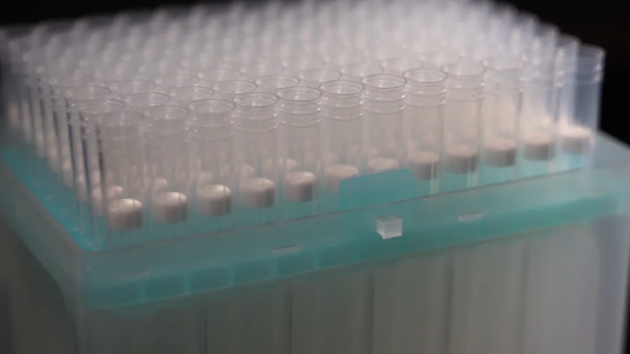 10ul 200ul 1000ul Micro Gilson Pipette Tip Buy Pipette Tips,Micro