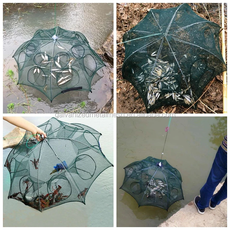 fish catching cage.jpg