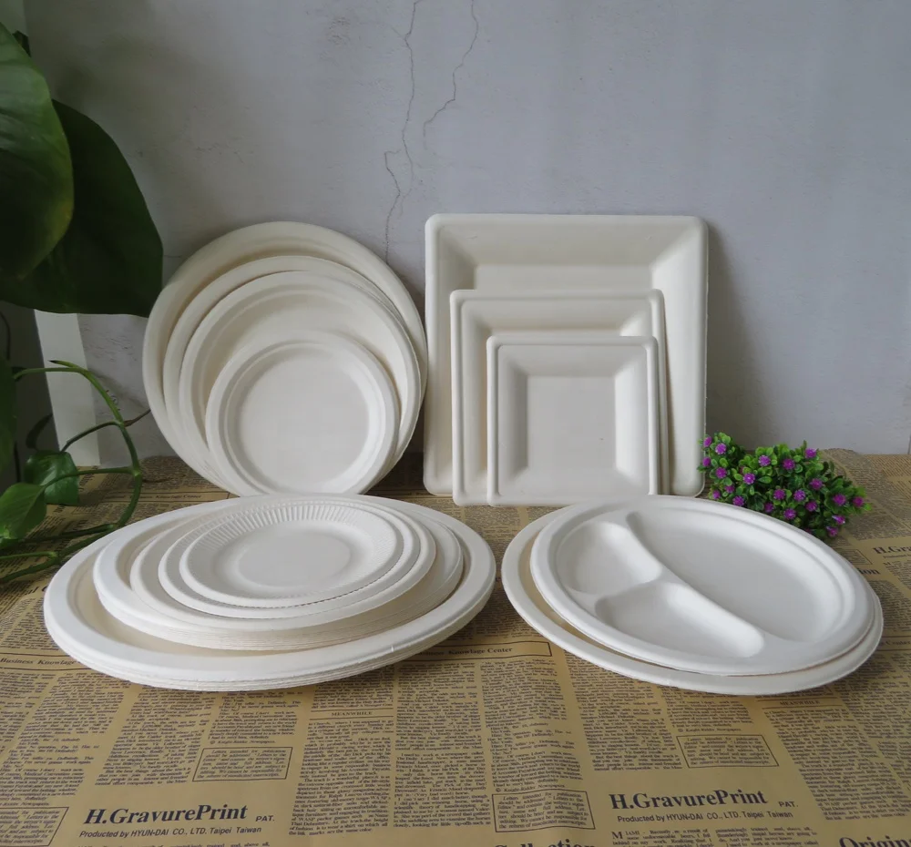 

Disposable Round Square Oval Sugarcane Bagasse Paper Plates for Food Biodegradable Disposable