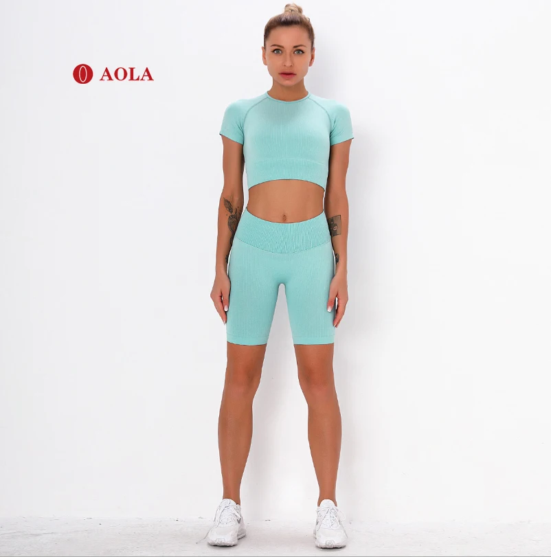 

AOLA 2-Pieces New Design Gym Wear Seamless workout sets Sportswear T-shirt and Leggings Yoga Set, Picture shows