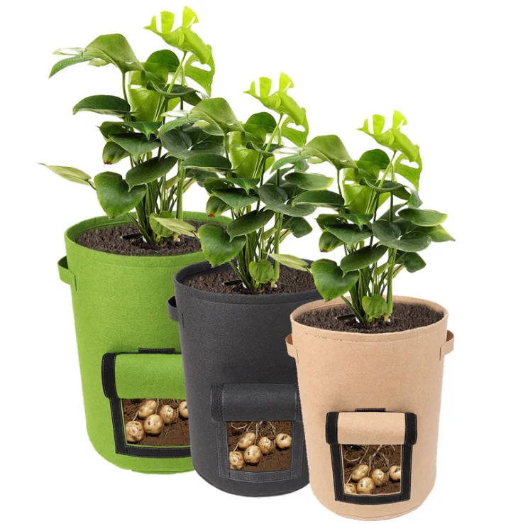 

Vegetable growing bag felt plant growing bag 5 / 7 / 10 gallon, Customized color