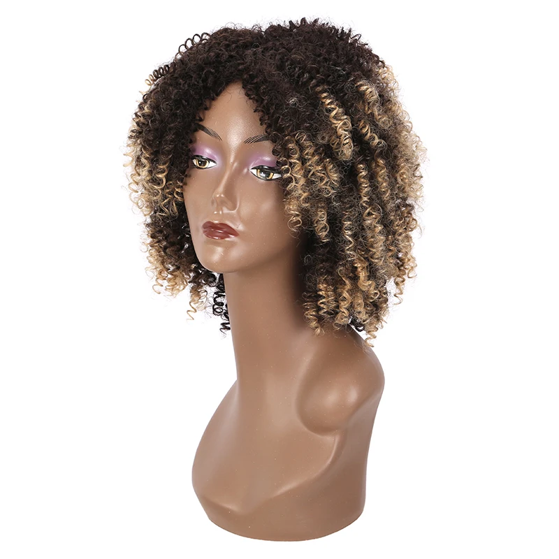 

Manufacture Price Synthetic Wig For Black Women Afro Wigs Afro Kinky Curly Wig