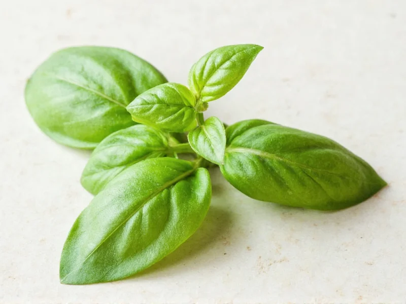 2 Tbsp Fresh Basil Equals How Much Dried: Quick Conversion Guide