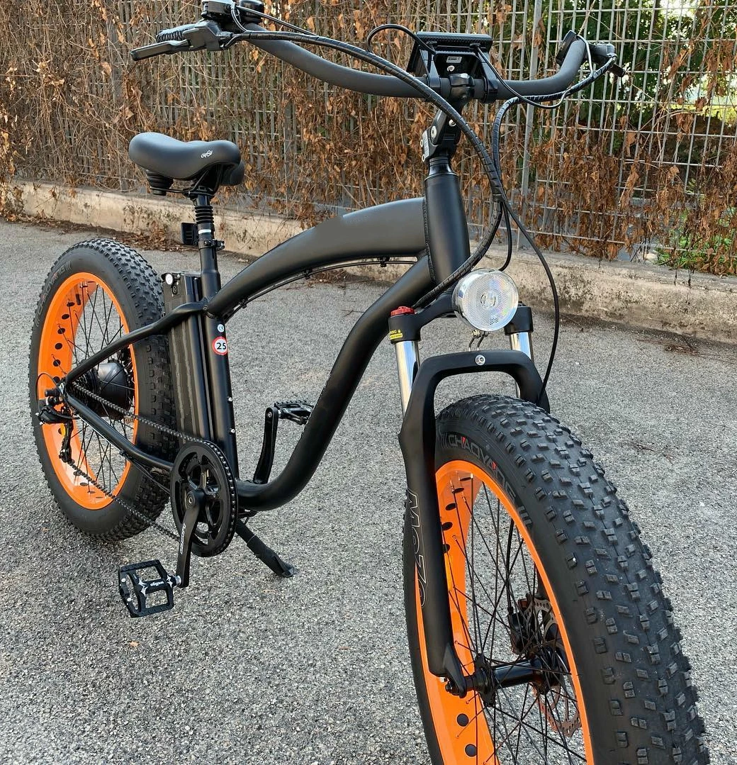 crane electric bike