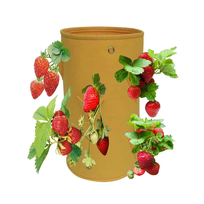 

BB019 Reusable Home Felt Non Woven Flower Planting Bag Flower Pot Gardening Round Hanging Balcony Planting Bag, 4 colours