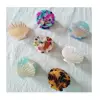 Girls Hair Accessories Women cute Claws Sea Shell Small Acetate Hair Clamp Claws With Plastic Bottom Clips For Ladies