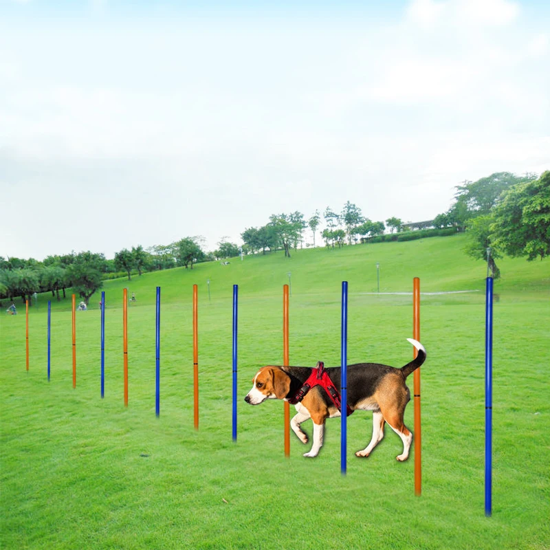 

Detachable Training Pole Portable Jumping Agility Training Equipment, Outdoor Dog Hurdle Sports Equipment