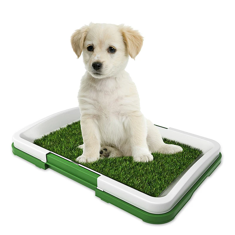 

Indoor Tray Artificial Grass With (Incl Ro Mat Larg Auto Automatic Pooping Paper Stand Toilets For Dogs Potty Poti Dog Toilet, Green