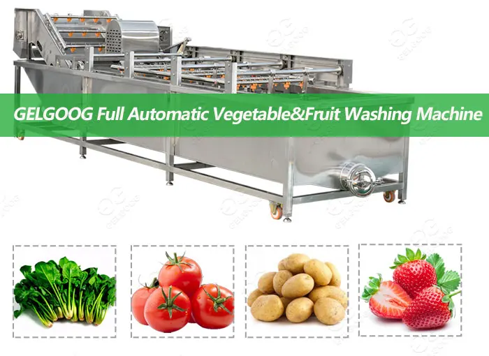 Air Bubble Water Spraying Vegetable & Fruit Washing Machine