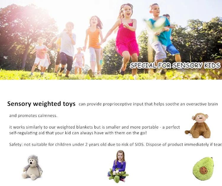 Sensory weighted toy .jpg