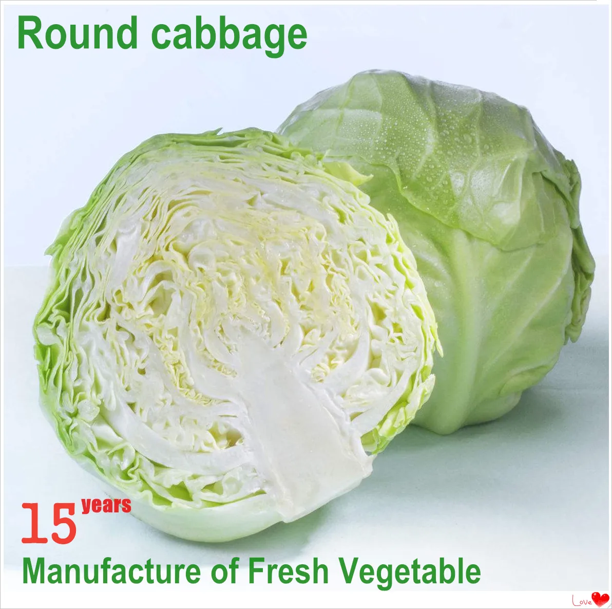 fresh round cabbage.jpg