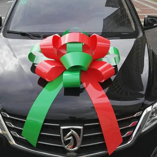 car bow 2.jpg