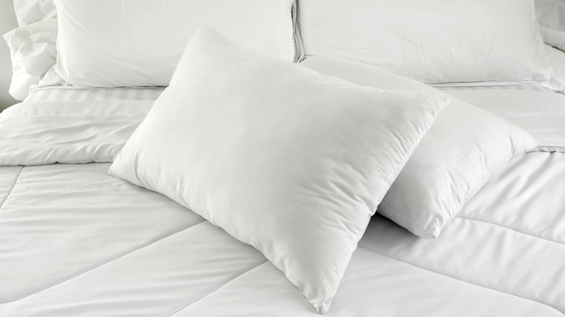 TFL Pillow 1106.jpg