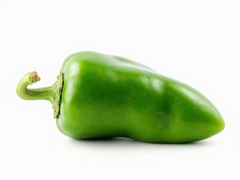 Poblano Peppers: Mildly Spicy Explained