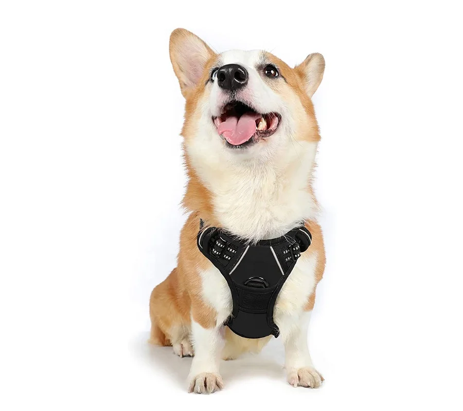 

Amazon Hot Sale Large Reflective Breathable Adjustable Soft Mesh No Pull Soft Front Custom LOGO Dog Harness set