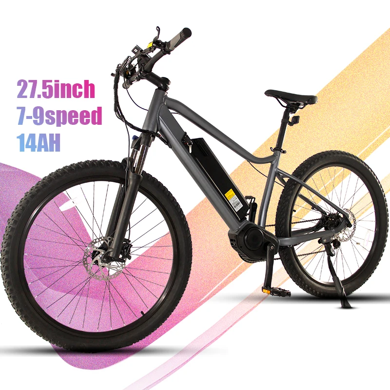 

Waterproof City Electric Bicycle With 48V10ah Battery