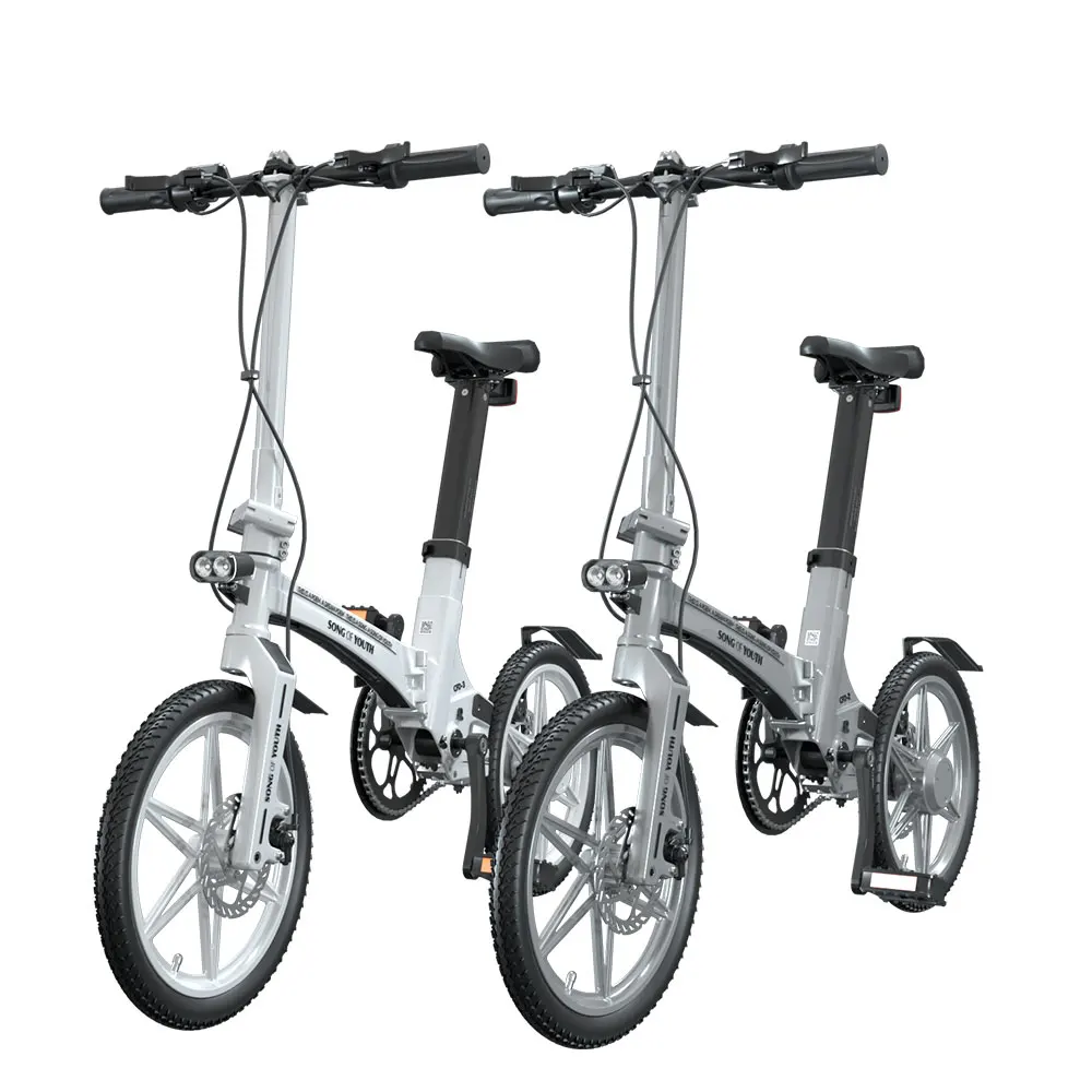 

2021 New Version Battery 250W Motor City Woman Electric Bike Bicycle