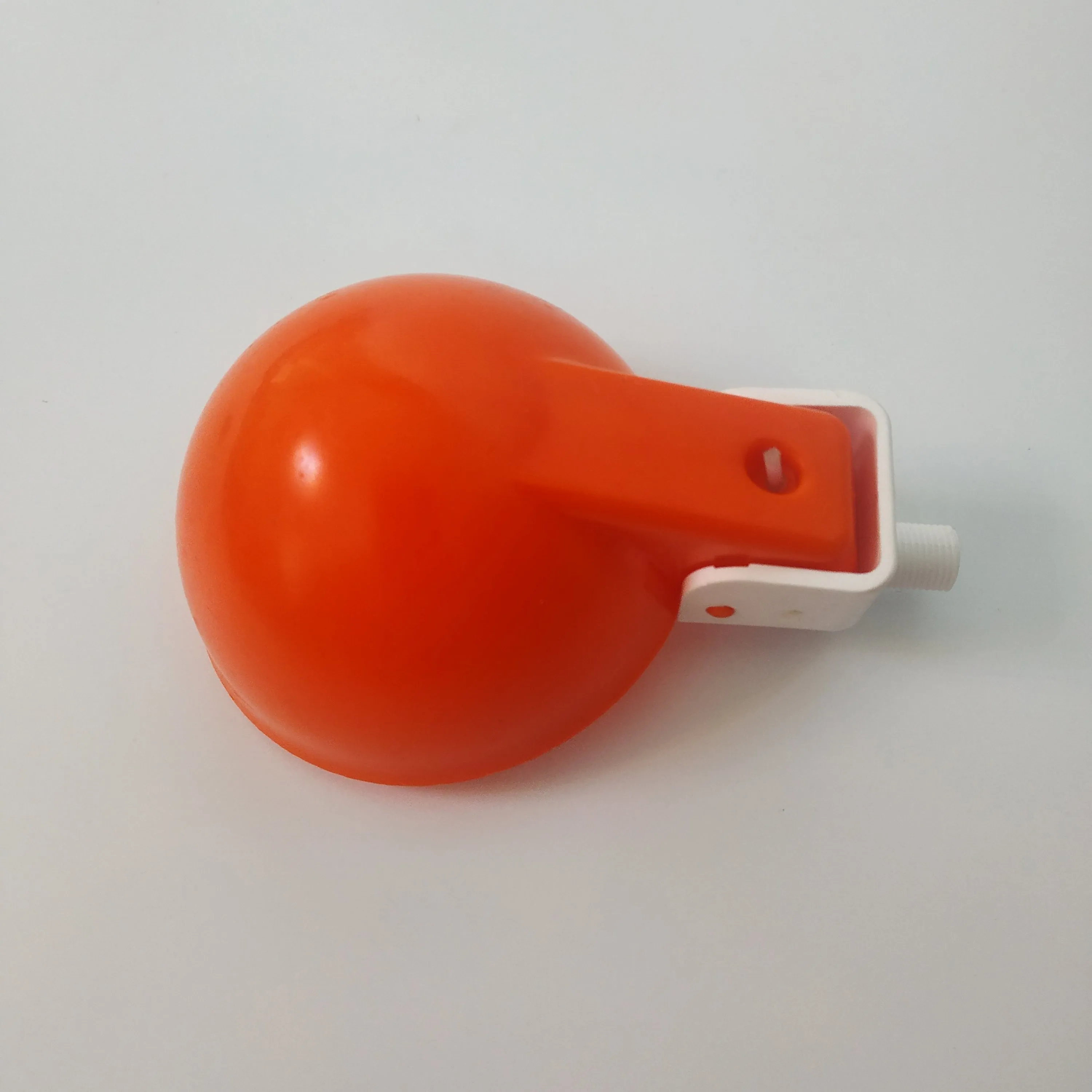 
Orange Color Poultry Drinker Cup, Pigeon Bird Chicken Quail Water Cup PH-151 