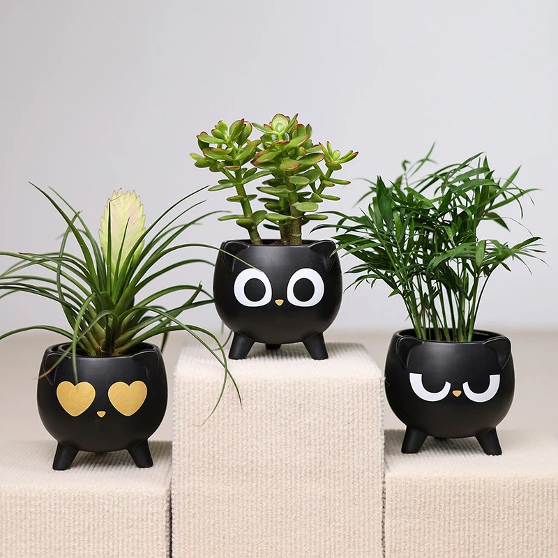 

Creative Personality Cute Ceramic Flower Cartoon Breathable Round Plant Pot Home Living Room Balcony Decoration Ornaments, Black