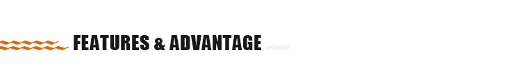 feature and advantage