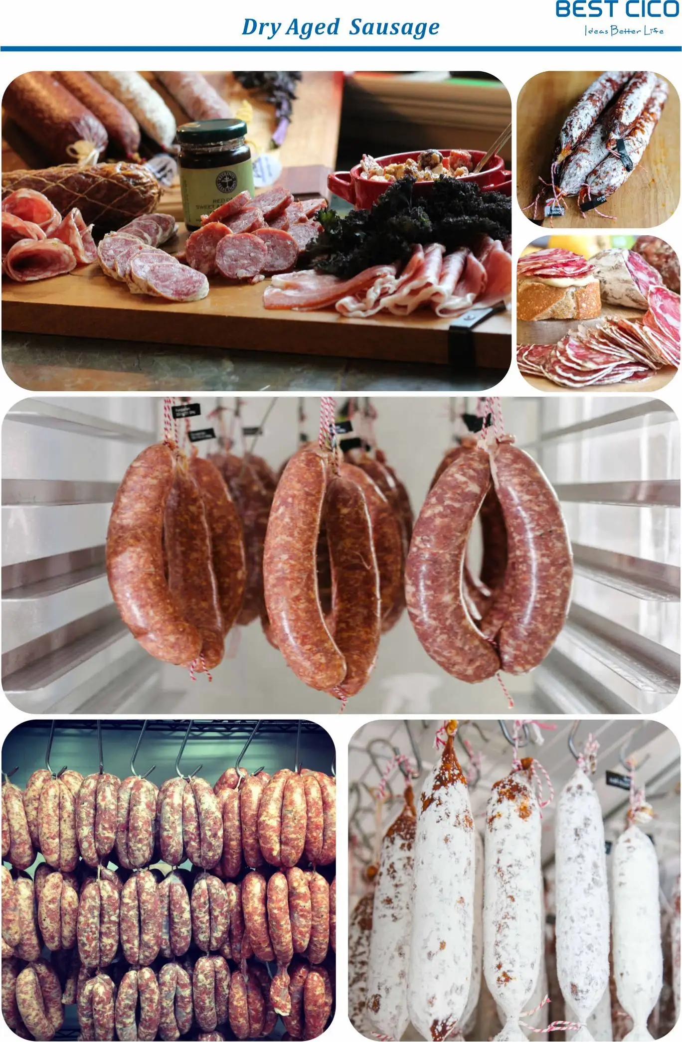 Drying Equipment 460l Salami Drying Aged Refrigerator Machine Da460a