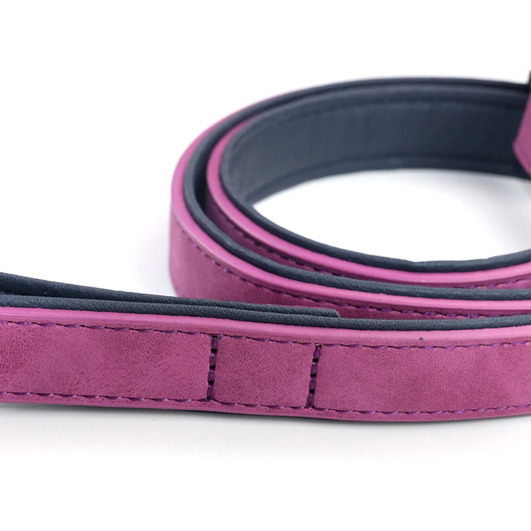 

Custom Personalized Design Strong Plain Pet Dog Collar And Leash